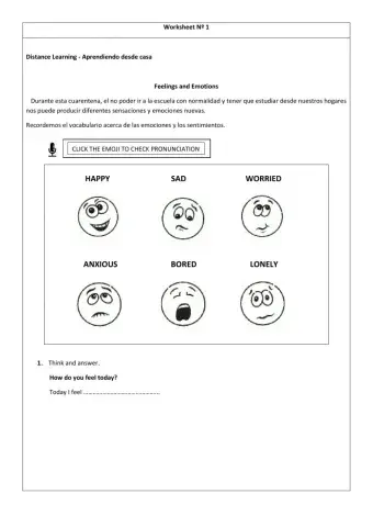 Feelings and Emotions