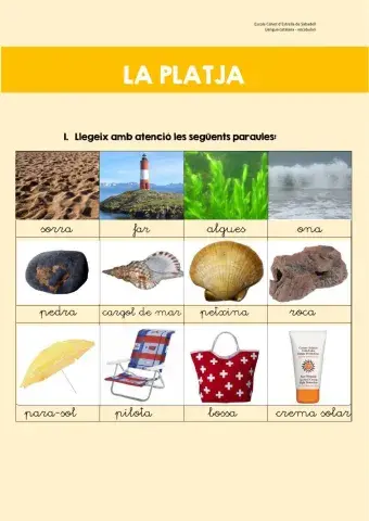 Vocabulari de la platja