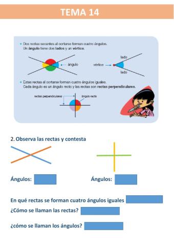 Rectas y angulos