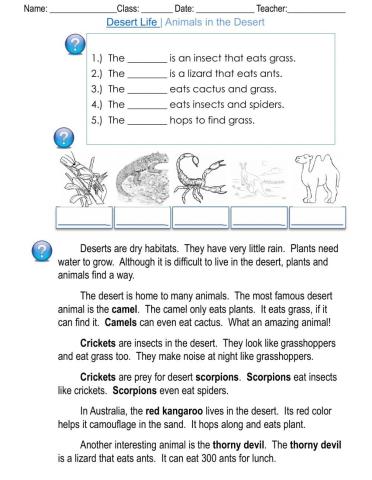 Desert Life - Animals in the Desert