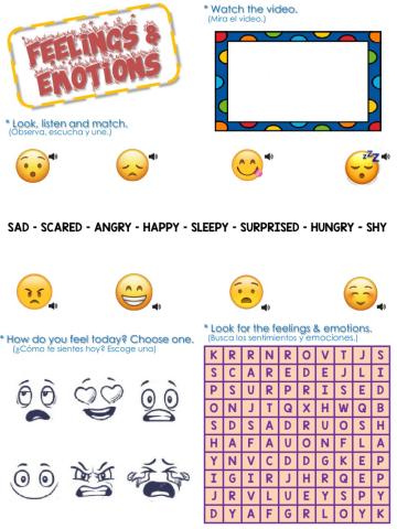 Feelings and Emotions