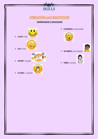 Feelings and Emotions vocabulary