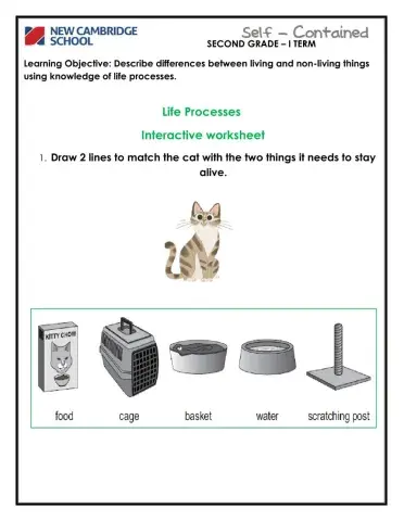 Life Processes- Interactive Worksheet