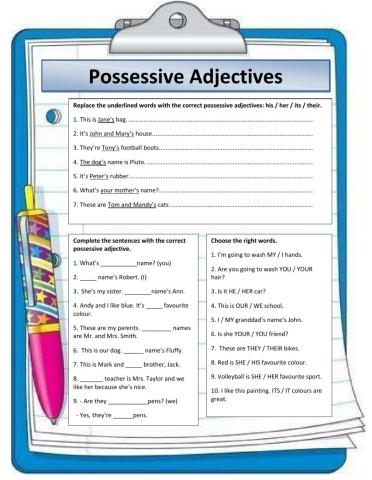 Possesive Adjectives