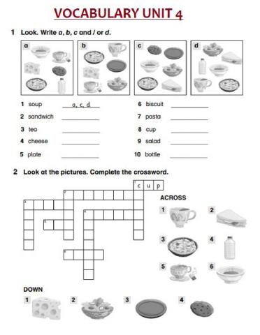 Vocabulary unit 4