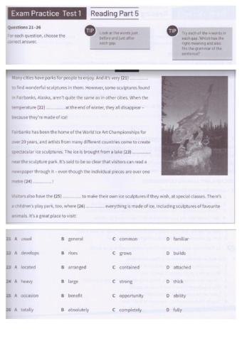 Pet (reading- listening)