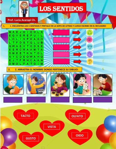 Los sentidos