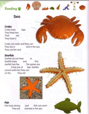 Sea creatures listening