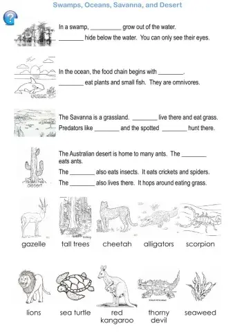 Swamps, Oceans, Savanna, and Desert