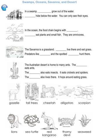 Swamps, Oceans, Savanna, and Desert