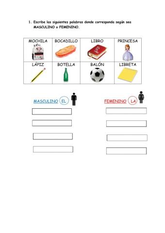 Masculino y femenino