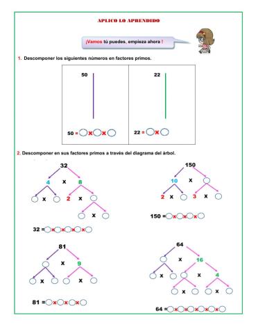 DESCOMPOSICIÓN PRIMA