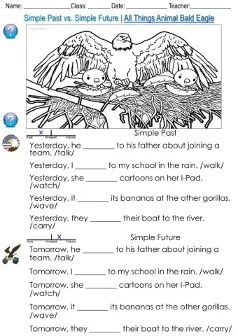 Simple past vs simple future - all things animal bald eagle