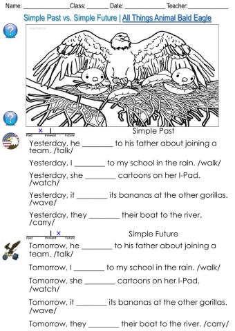 Simple past vs simple future - all things animal bald eagle
