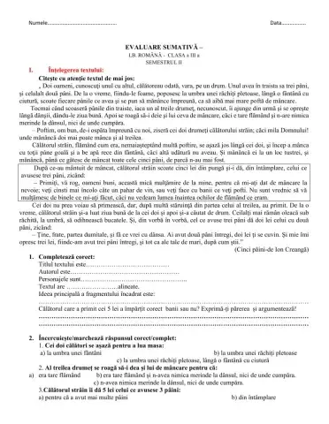 Evaluare sumativă Sem II-Limba română