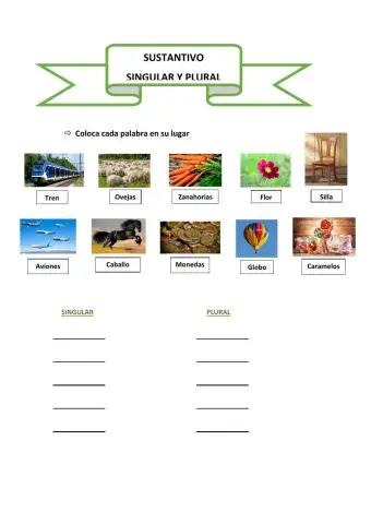 Sustantivos singular-plural