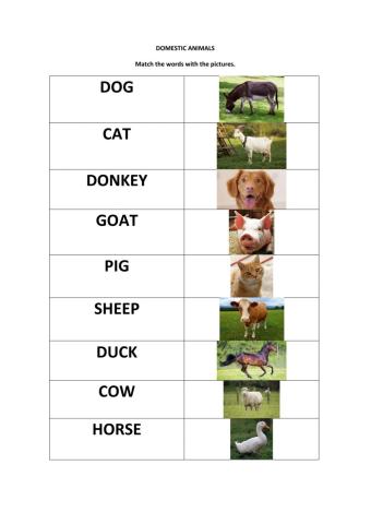 Domestic animals word and picture matching