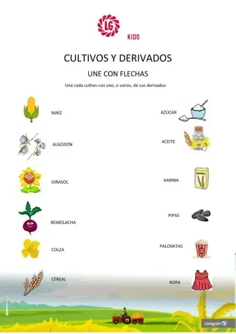 Une con flechas cada cultivo con su alimento