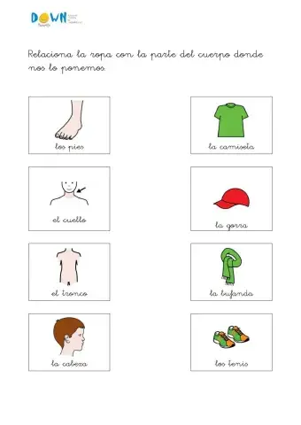 Vocabulario categorías 2