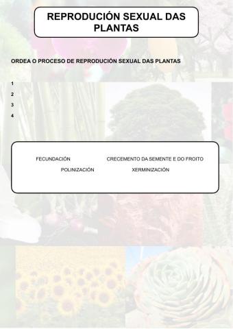 A reprodución sexual das plantas