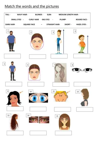 Matching Exercise- Physical Description Adjectives