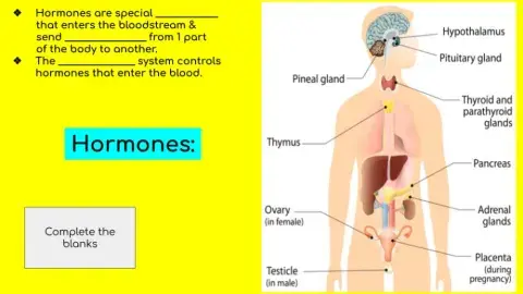 Hormones