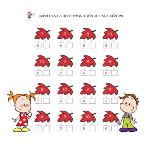 DESCOMPOSICIÓN 