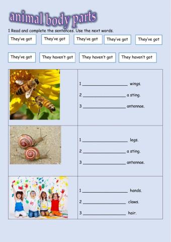 Animal body parts