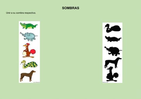 Sombras