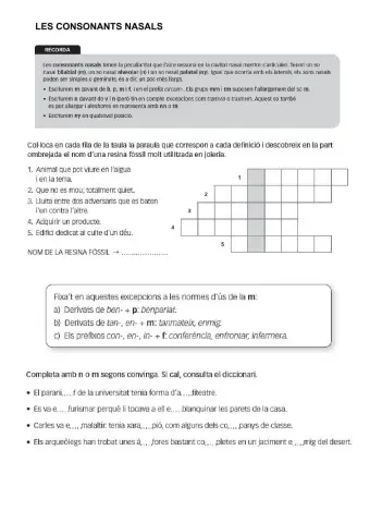 Les consonants nasals