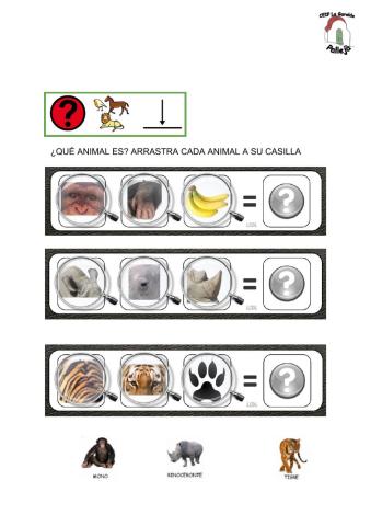 ¿Qué animal es?