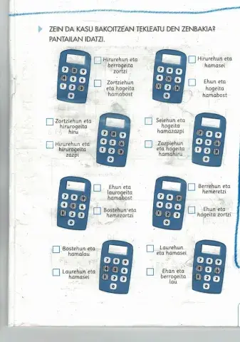 Zenbakia kalkulagailuan jarri