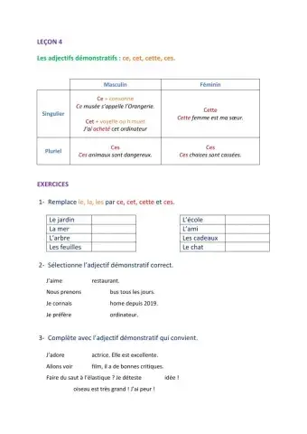 Leçon 4 : Les adjectifs démonstratifs