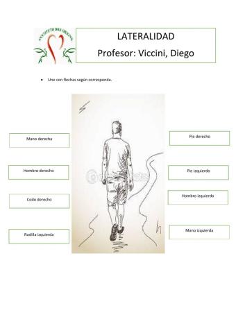Lateralidad