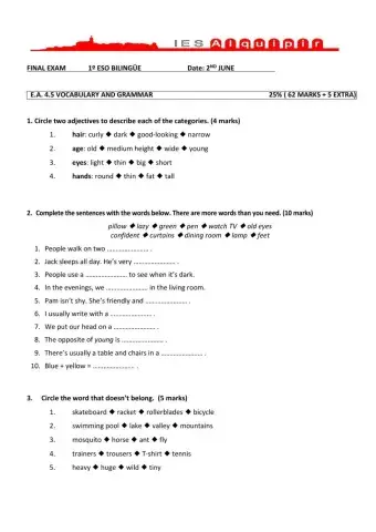 1º ESO GRAMMAR AND VOCABULARY EXAM
