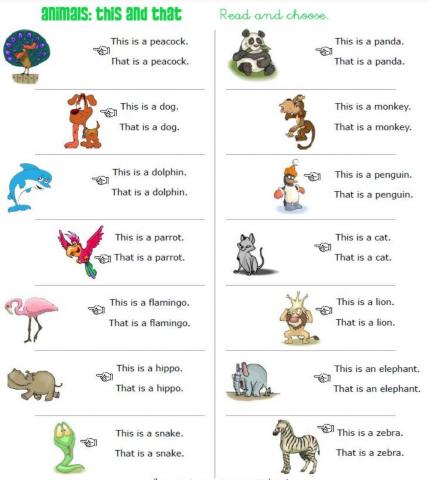 Animals: this and that