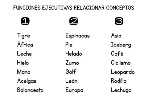 Relacionar conceptos 3