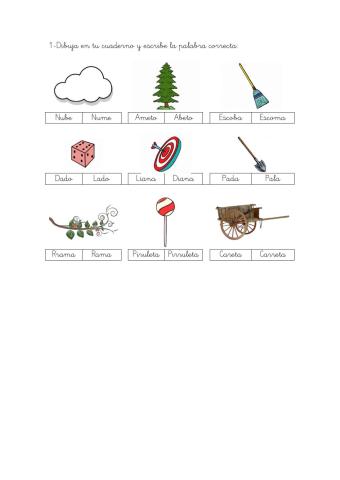 Conciencia fonológica