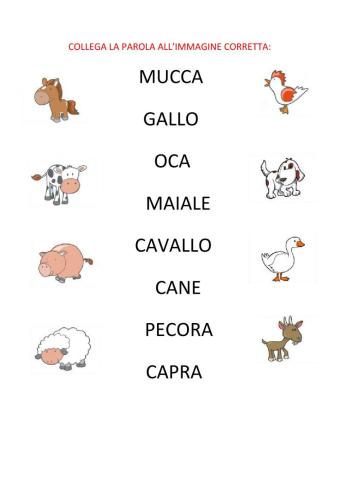 Collega il nome degli animali alla parola
