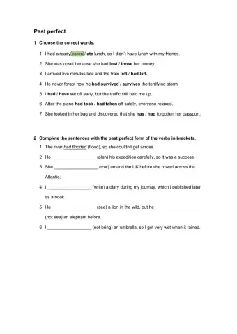 Grammar: Past perfect