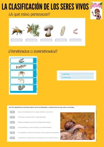 Clasificación de los Seres Vivos 1