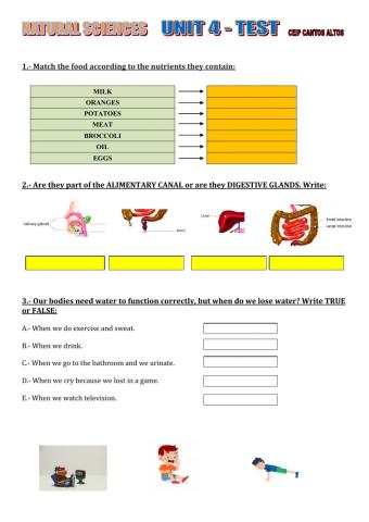 Natural Sciences - unit 4 Test