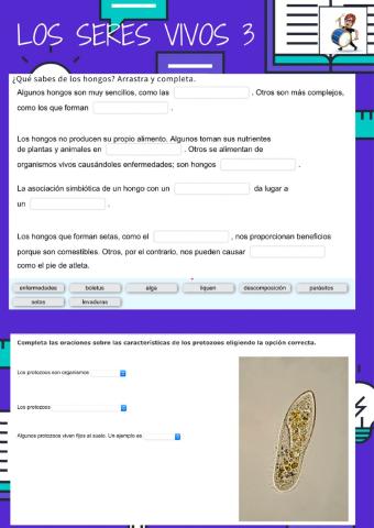 Clasificación de los Seres Vivos 3
