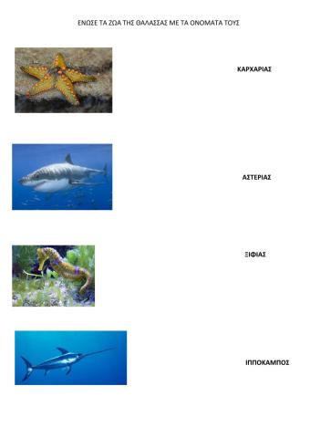 ΕΝΩΣΕ ΤΑ ΖΩΑ ΤΗΣ ΘΑΛΑΣΣΑΣ ΜΕ ΤΑ ΟΝΟΜΑΤΑ ΤΟΥΣ