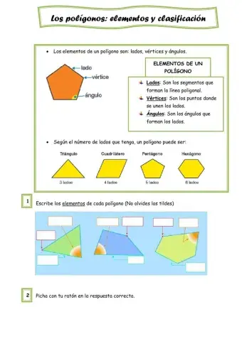 Los polígonos