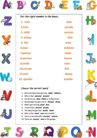 Irregular Plural Nouns