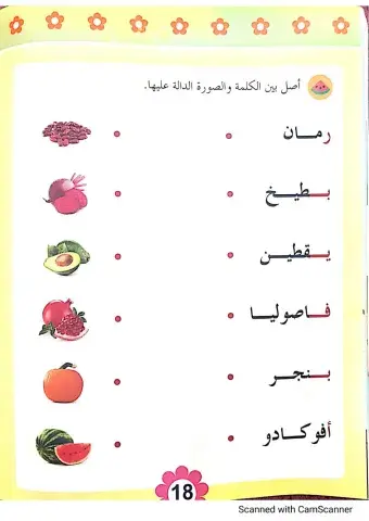 صل بين الكلمة والصورة الدالة عليها