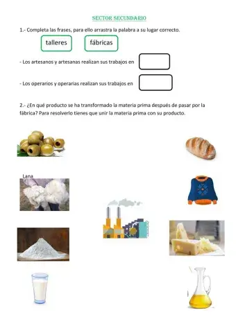 Sector Secundario
