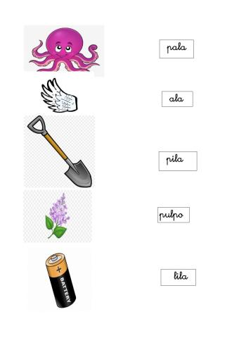 Lectura palabras p-l