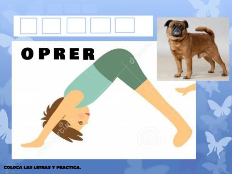 Yoga-perro